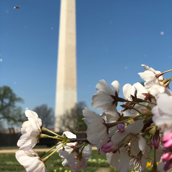 Meet your Posher, Danielle - Picture 7 of 10